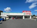 スギドラッグ日進岩藤店(ドラッグストア)まで885m エスポワール