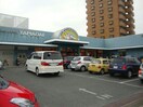 ヤマダイ左京山店(スーパー)まで436m ル・パサージュⅡ