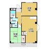 近藤ハイツ 2LDKの間取り