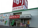 スギドラッグ豊田高崎店(ドラッグストア)まで792m Surplus Two 金田荘
