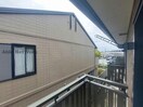  コスモ