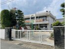 若葉保育園(幼稚園/保育園)まで236m アビニヨンビル