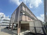 セントポーリア・サウス