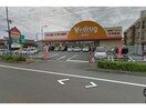 V・drug豊明店(ドラッグストア)まで399m ブランミュールＫＴ