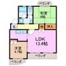 カーサタツミ 2LDKの間取り