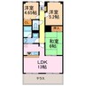 ダイアパレス有松 3LDKの間取り