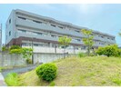 CENTRAL FERSの外観