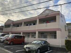 プラティーヌ
