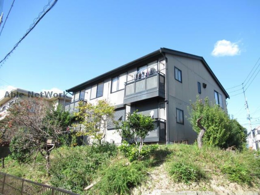  エーデルワイス