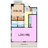 K-Stage Ⅵ 1LDKの間取り
