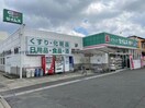 ドラッグセイムス大高店(ドラッグストア)まで580m シルクガーデンⅡ