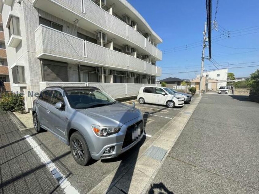  ウインドローズ