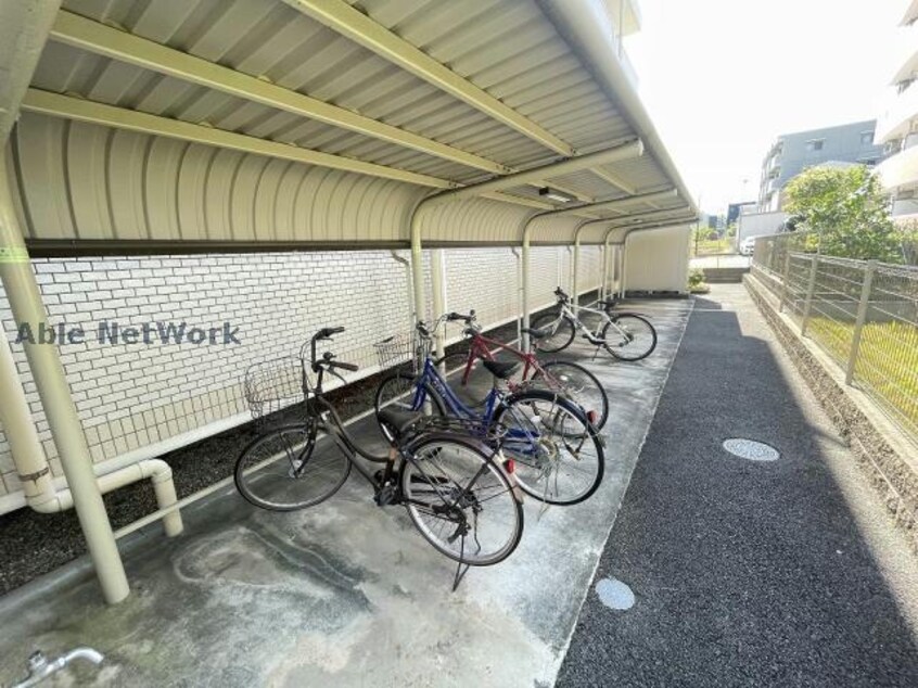  ウインドローズ