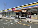 ミニストップ名古屋清水山店(コンビニ)まで86m モナリエ青山