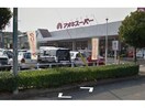 アオキスーパー前後店(スーパー)まで1080m ウィングヒルズⅡ