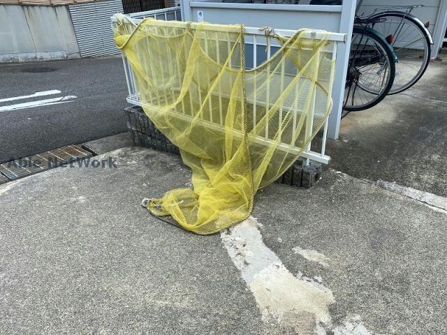  セントポーリア