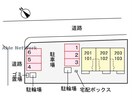  カリーノ