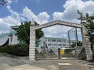 名古屋市立常安小学校(小学校)まで809m S-RESIDENCE神沢afford