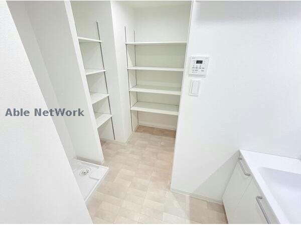  クイール諸の木