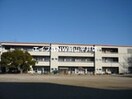 玉野市立田井小学校(小学校)まで1032m フレグランス十禅寺　B