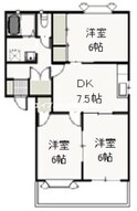 ドミ・アゼリアⅡ　Dの間取図