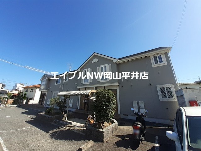  サンフラワーハセイ