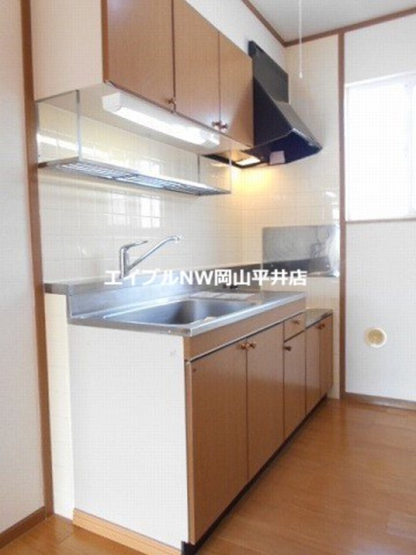  サンフラワーハセイ