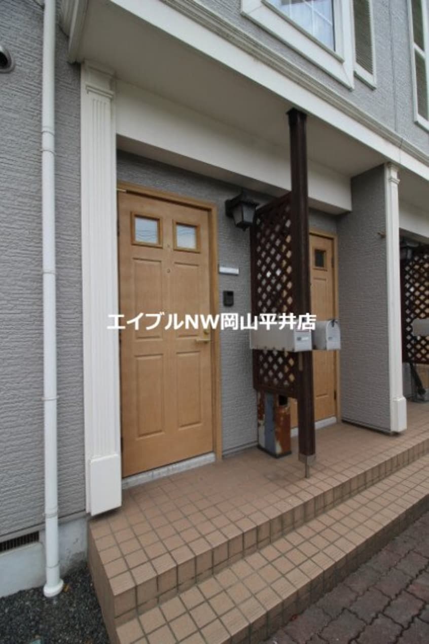  サンフラワーハセイ