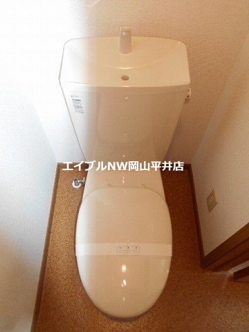  サンフラワーハセイ