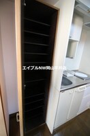  レディースキャステル