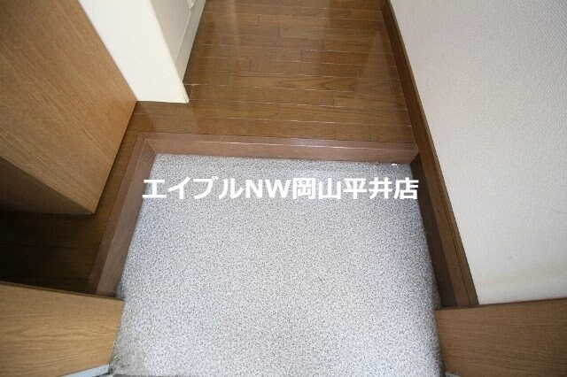  レディースキャステル