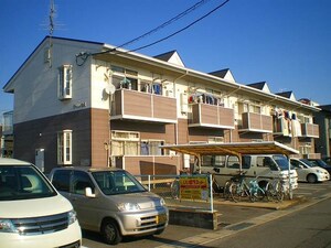 ライム