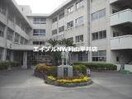 岡山市立旭竜小学校(小学校)まで540m さい戸建