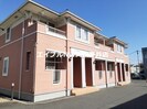 プラムの外観
