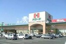 ハローズ円山店(スーパー)まで158m 吉原山崎マンション