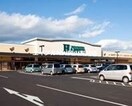 ハピーズ円山店(スーパー)まで460m 吉原山崎マンション