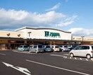 ハピーズ円山店(スーパー)まで838m 倉富荘