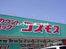 ディスカウントドラッグコスモス福浜店(ドラッグストア)まで206m 岡杉ビル