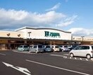 ハピーズ円山店(スーパー)まで976m レオネクスト倉富