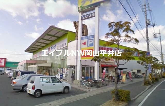 ディオ岡山西店(スーパー)まで385m エレガンス西市　E