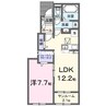 コンテルミナス 1LDKの間取り
