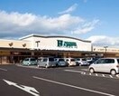 ハピーズ円山店(スーパー)まで1331m 森田様借家