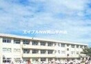 岡山市立西大寺南小学校(小学校)まで368m ゴールドウイング　B棟