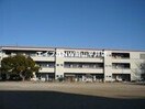 玉野市立田井小学校(小学校)まで848m ミッドタウン玉野　九号館