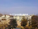 岡山市立岡山中央小学校(小学校)まで822m Harvest　Moon