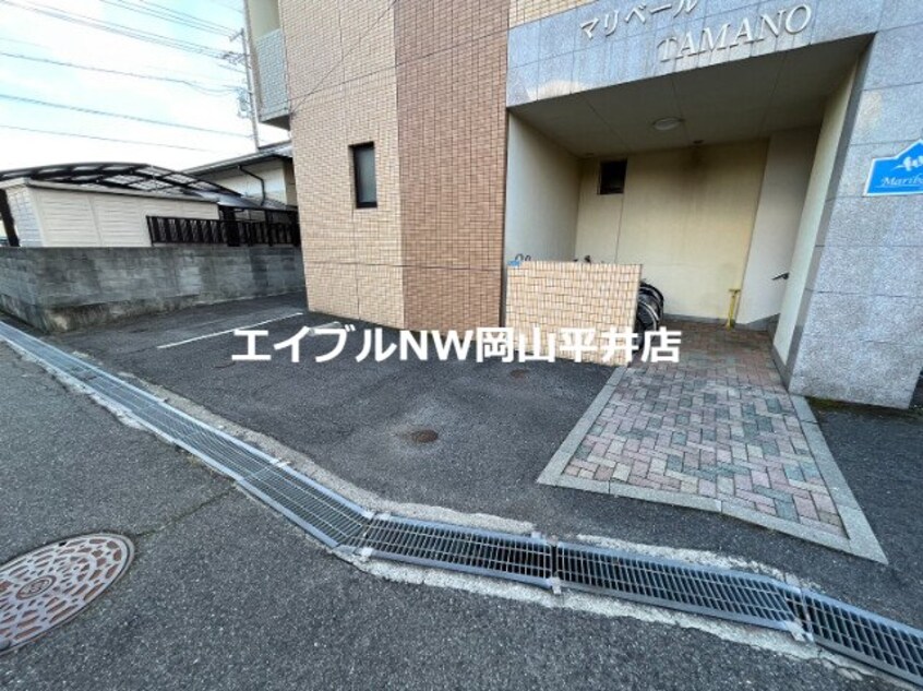  マリベールタマノ