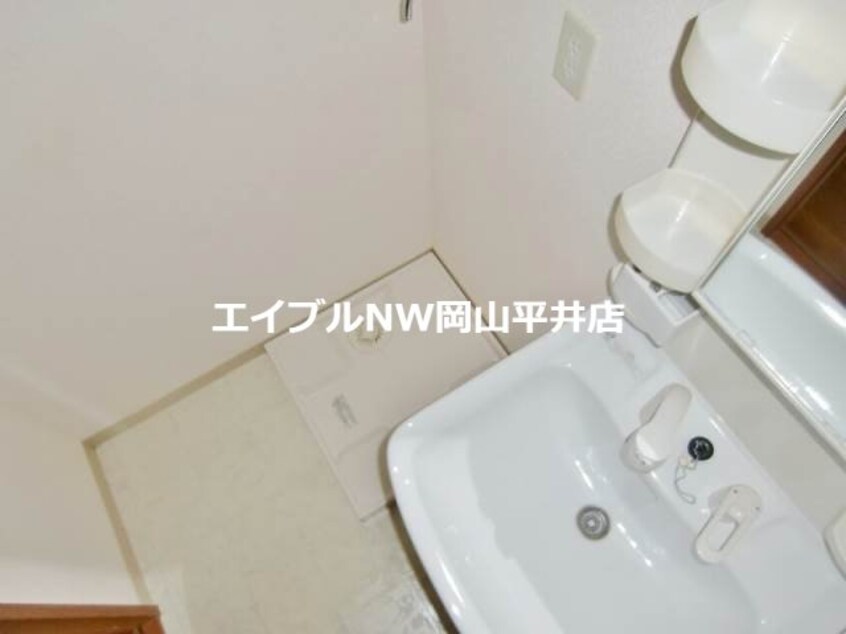  マリベールタマノ