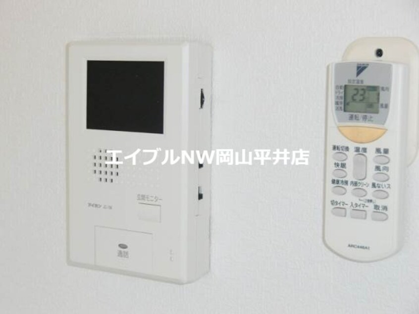  マリベールタマノ