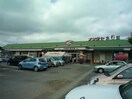 ナリタヤ食彩館たかの台店(スーパー)まで484m 千葉都市モノレール２号線/千城台北駅 徒歩11分 2階 築16年