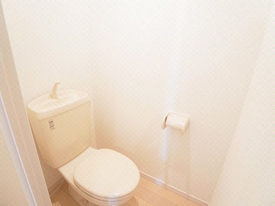 トイレ 総武本線/佐倉駅 徒歩1分 3階 築14年